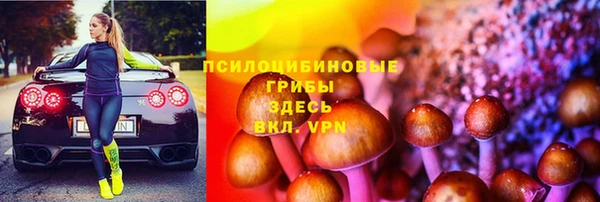 мескалин Осинники