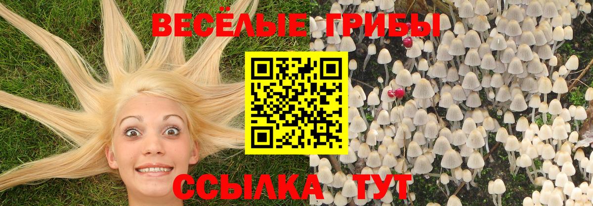 Галлюциногенные грибы мухоморы Кстово