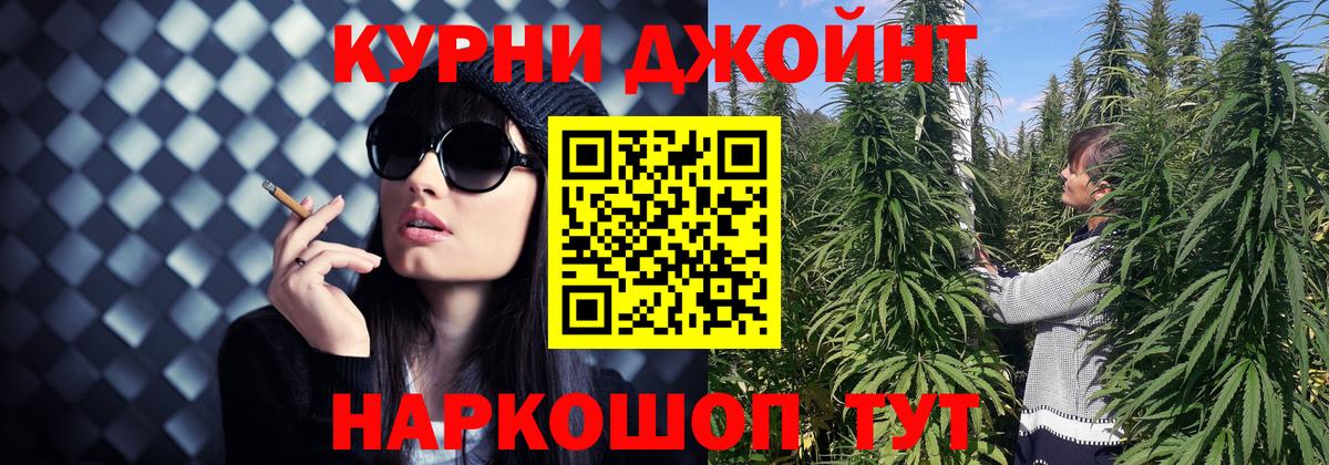 Псилоцибиновые грибы Кстово